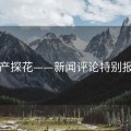 国产探花——新闻评论特别报道