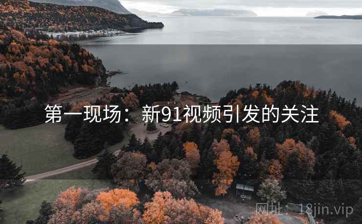 第一现场:新91视频引发的关注 第一现场:新91视频引发的关注
