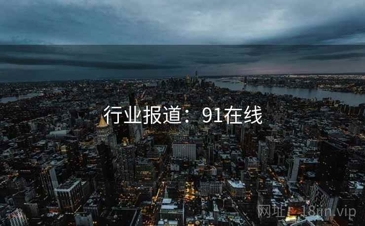 行业报道：91在线